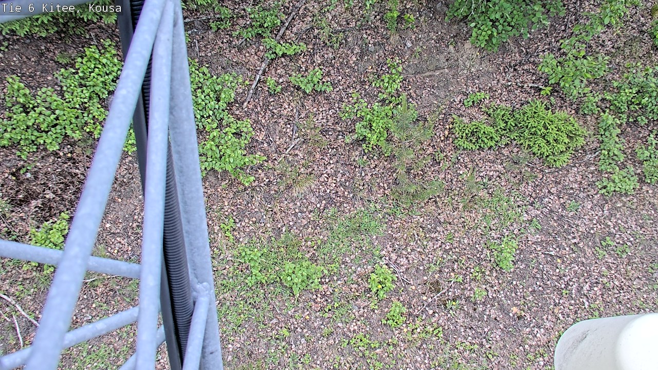Kelikamerat Kuva Tie 6, Kitee, Kousa, Kitee, Pohjois-Karjala