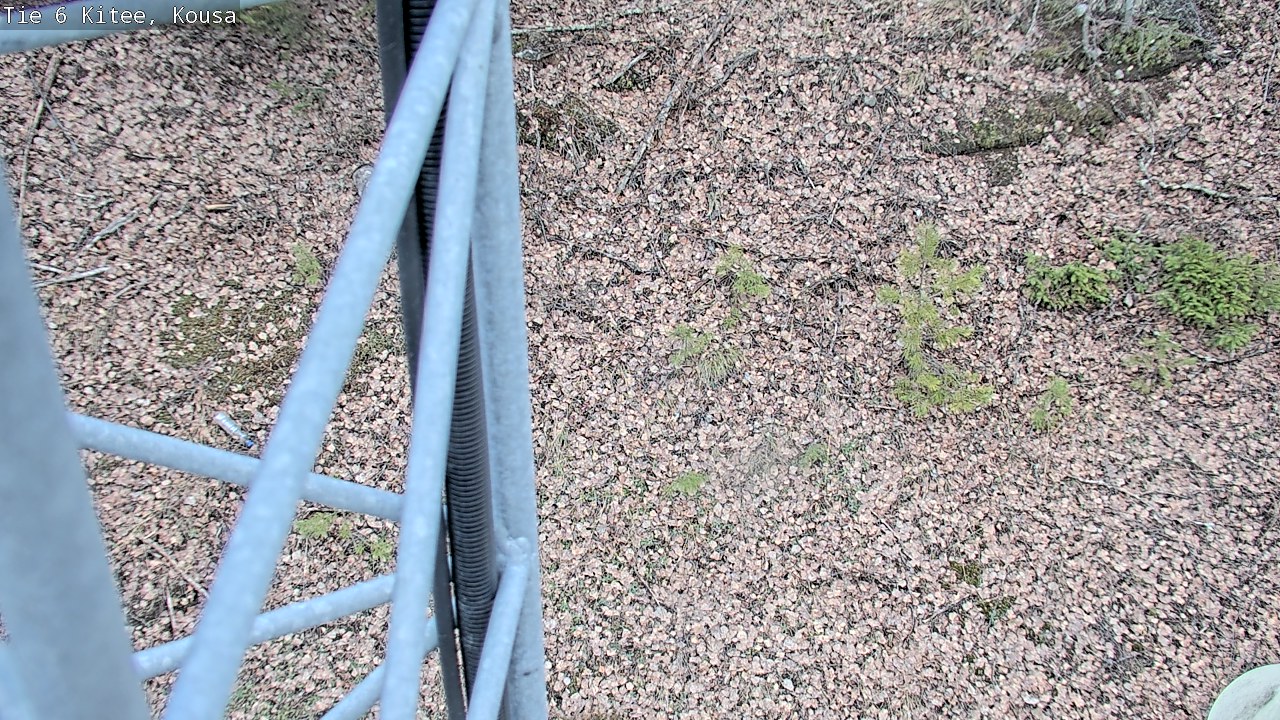 Kelikamerat Kuva Tie 6, Kitee, Kousa, Kitee, Pohjois-Karjala