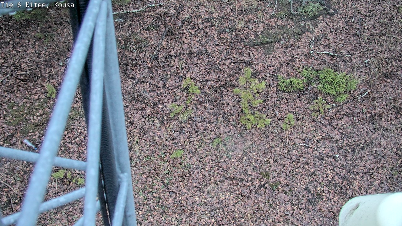 Kelikamerat Kuva Tie 6, Kitee, Kousa, Kitee, Pohjois-Karjala