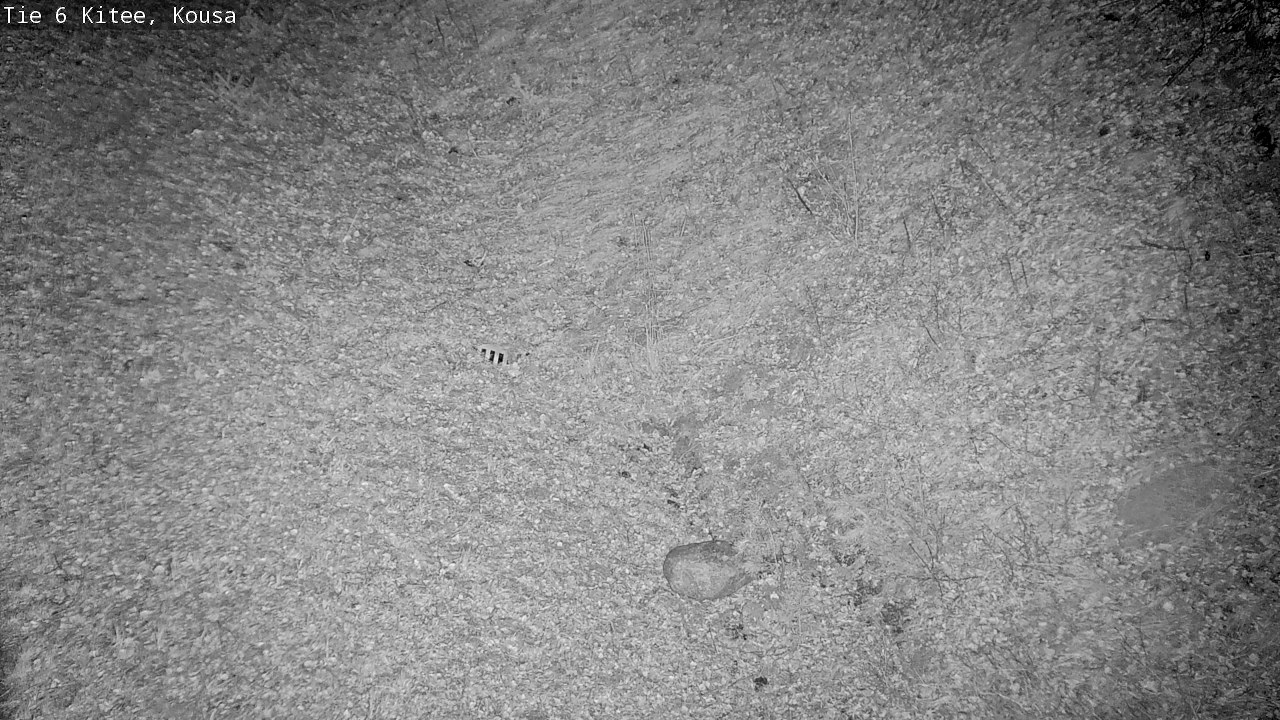 Weather Camera Image Väg 6, Kitee, Kousa, Kitee, Pohjois-Karjala