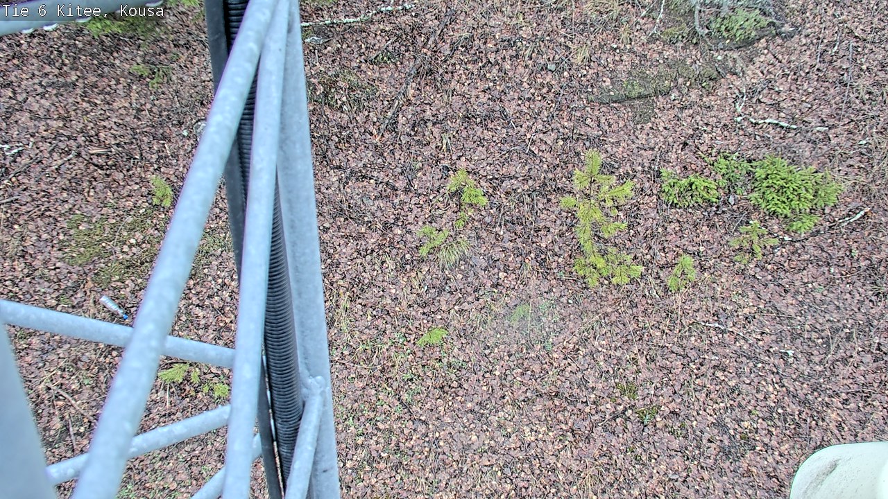 Kelikamerat Kuva Tie 6, Kitee, Kousa, Kitee, Pohjois-Karjala