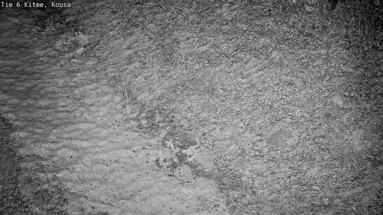 Kelikamerat Kuva Tie 6, Kitee, Kousa, Kitee, Pohjois-Karjala