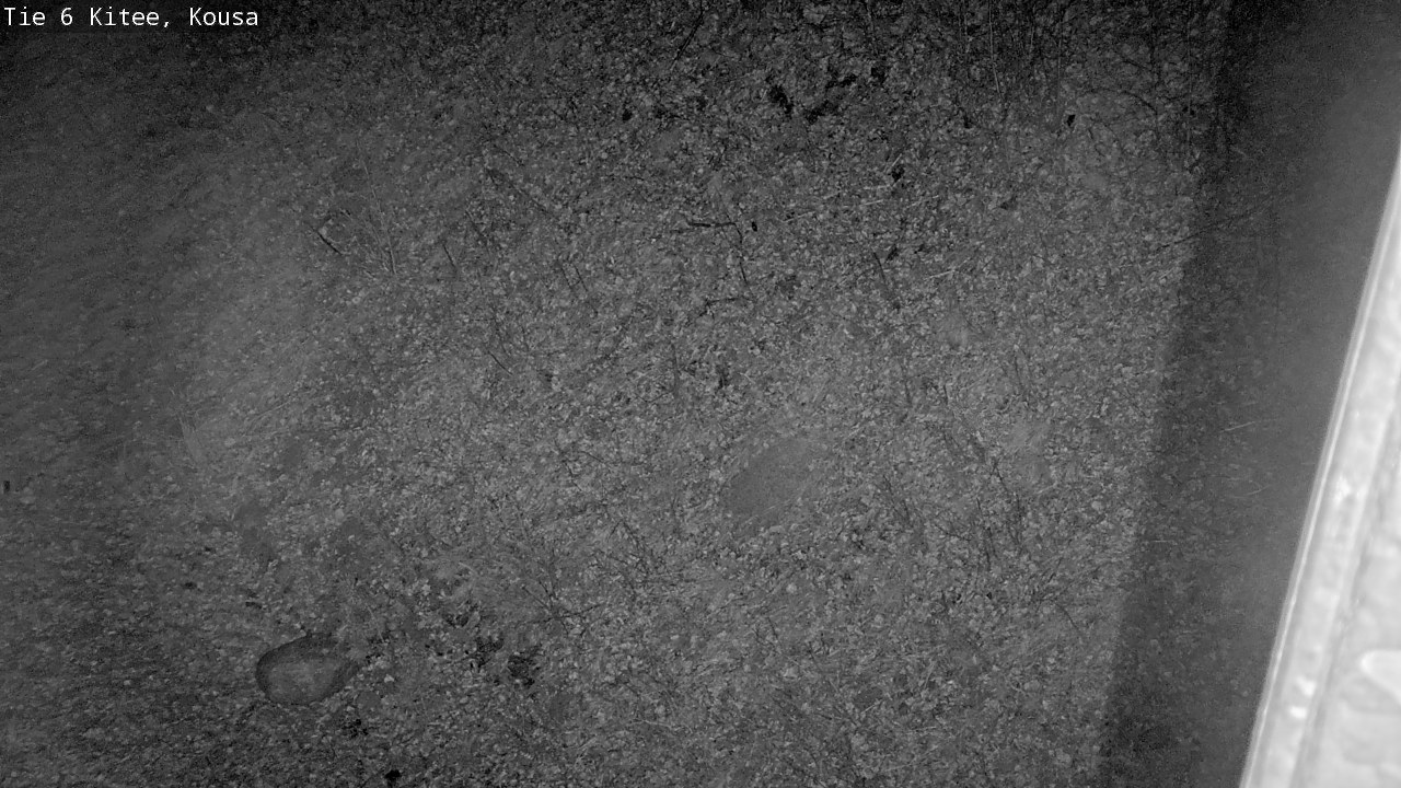 Weather Camera Image Väg 6, Kitee, Kousa, Kitee, Pohjois-Karjala