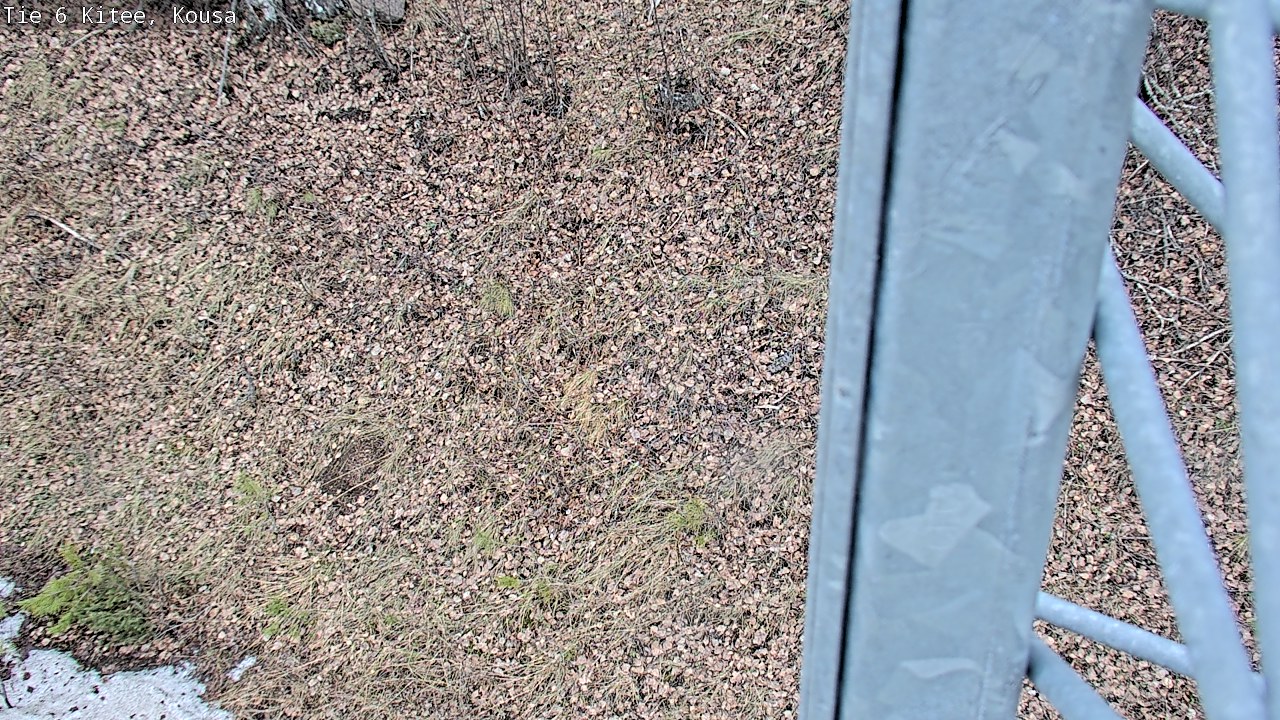 Kelikamerat Kuva Tie 6, Kitee, Kousa, Kitee, Pohjois-Karjala