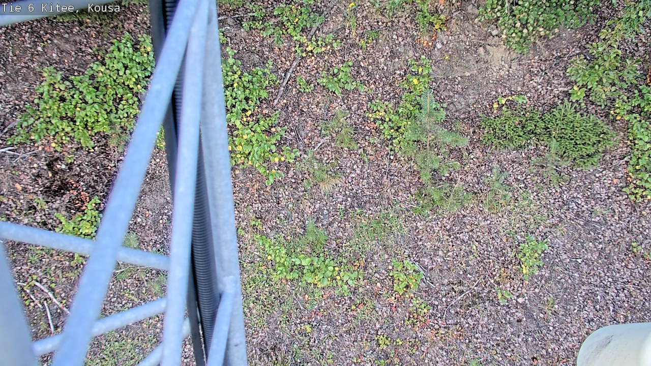 Kelikamerat Kuva Tie 6, Kitee, Kousa, Kitee, Pohjois-Karjala