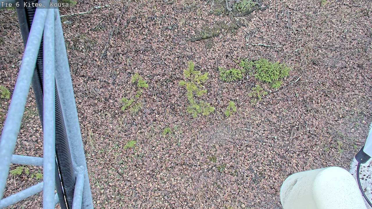 Weather Camera Image Road 6, Kitee, Kousa, Kitee, Pohjois-Karjala