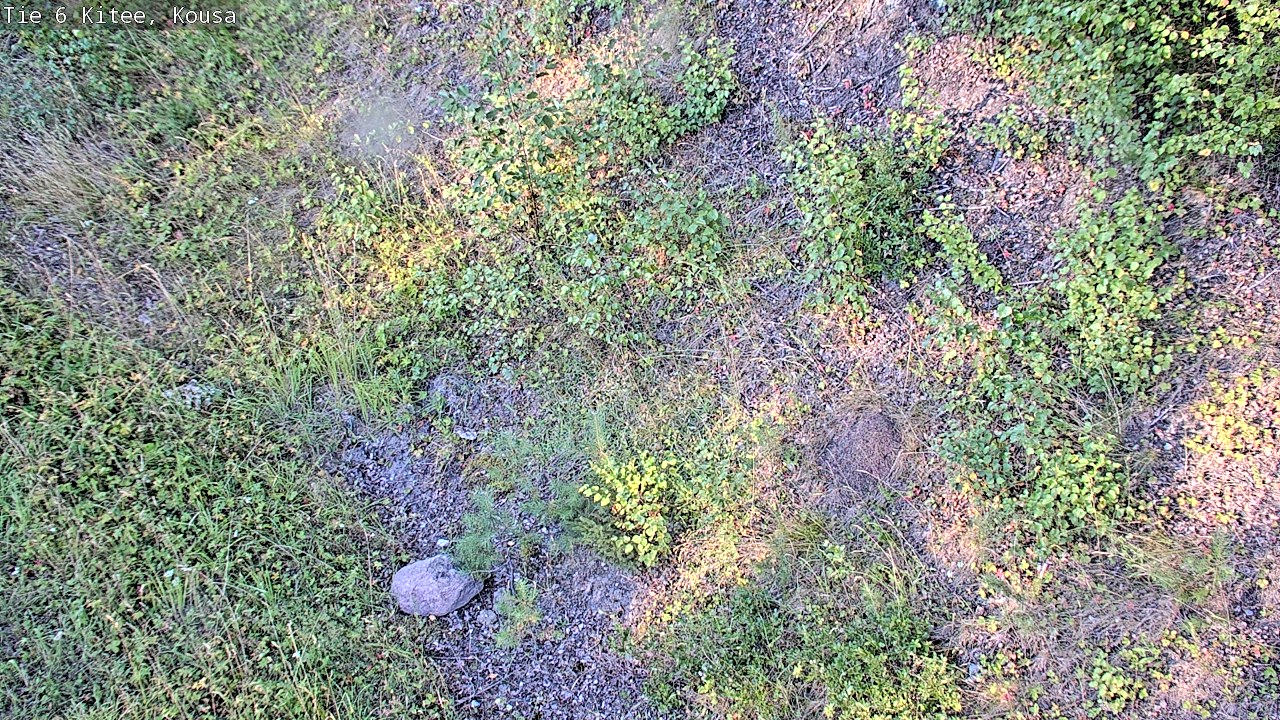 Kelikamerat Kuva Tie 6, Kitee, Kousa, Kitee, Pohjois-Karjala