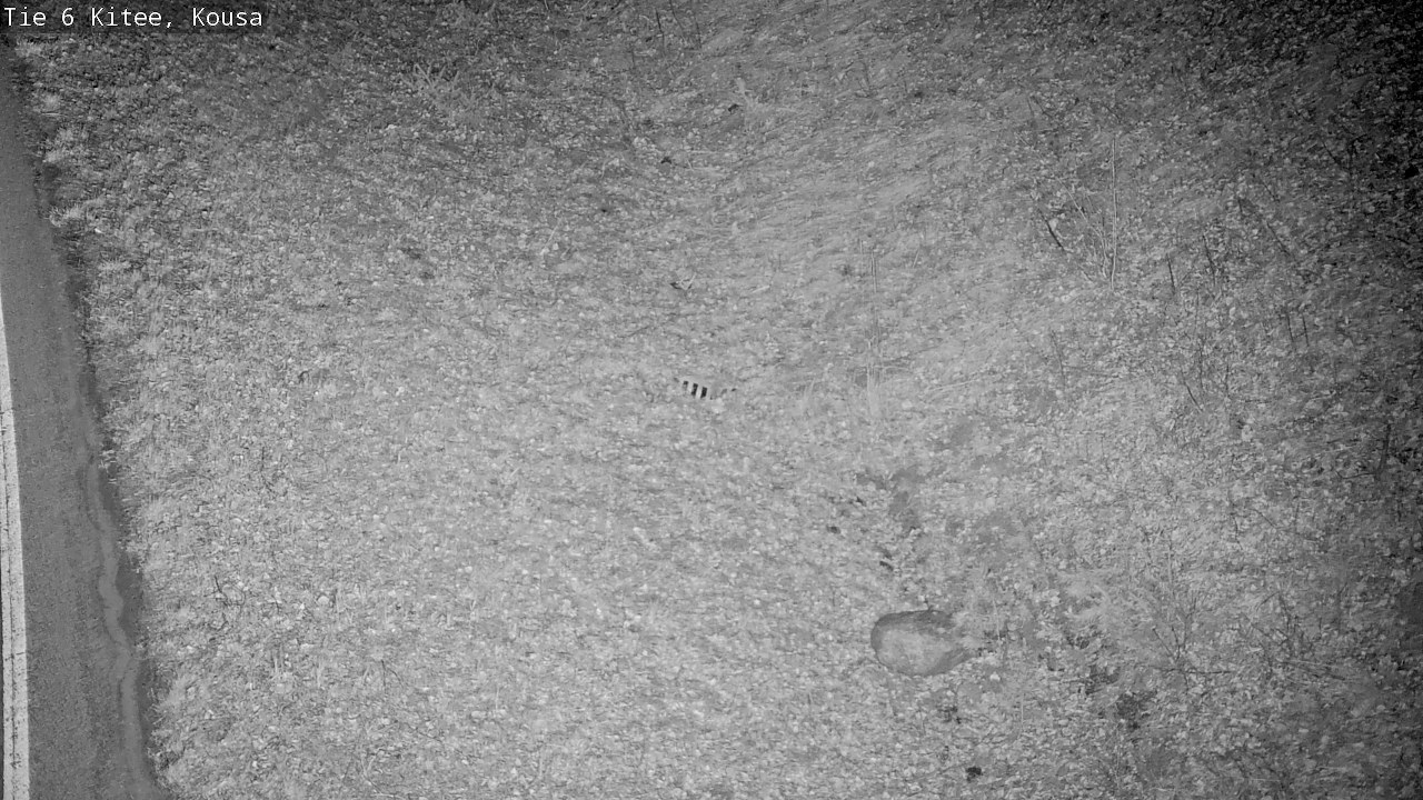 Weather Camera Image Väg 6, Kitee, Kousa, Kitee, Pohjois-Karjala
