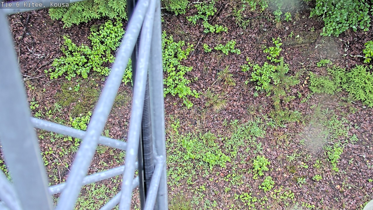 Kelikamerat Kuva Tie 6, Kitee, Kousa, Kitee, Pohjois-Karjala