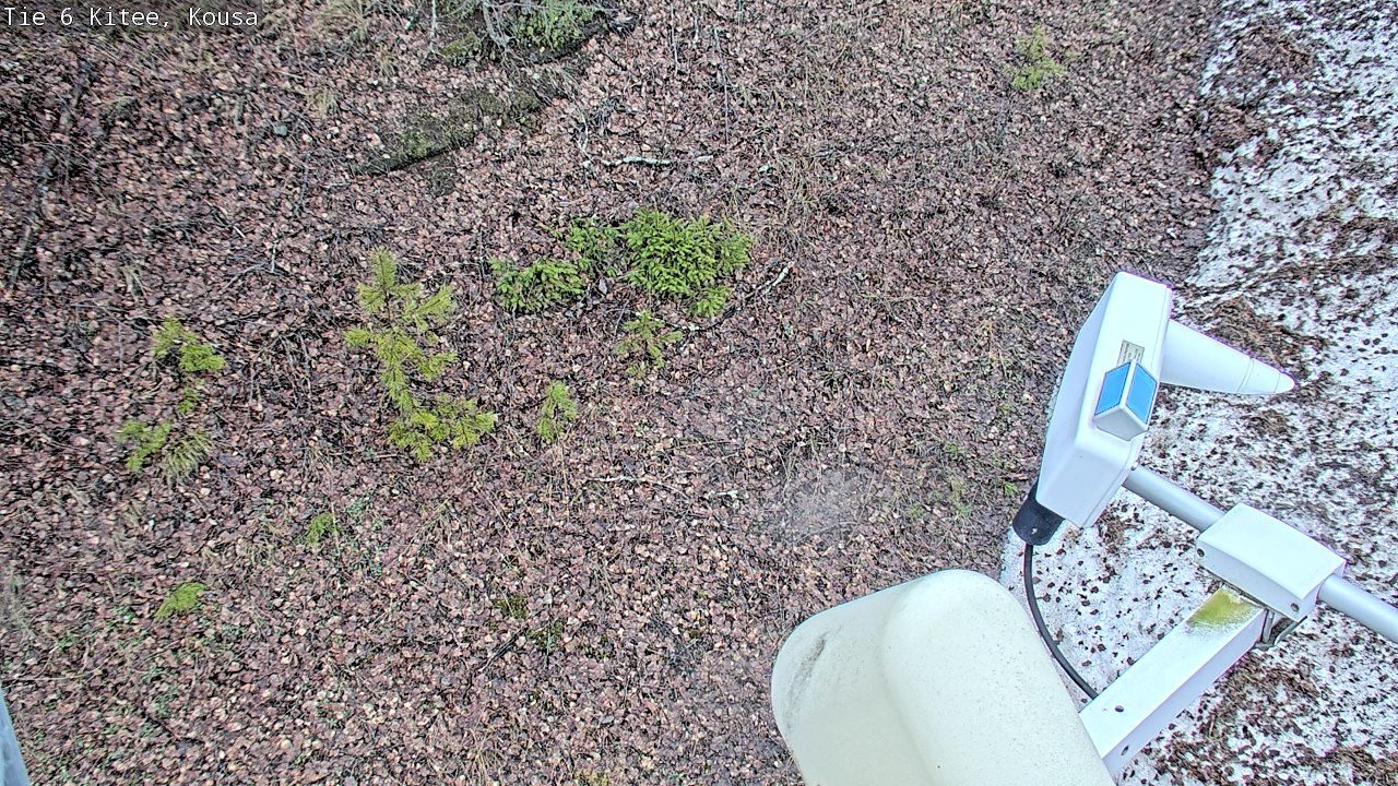 Weather Camera Image Road 6, Kitee, Kousa, Kitee, Pohjois-Karjala