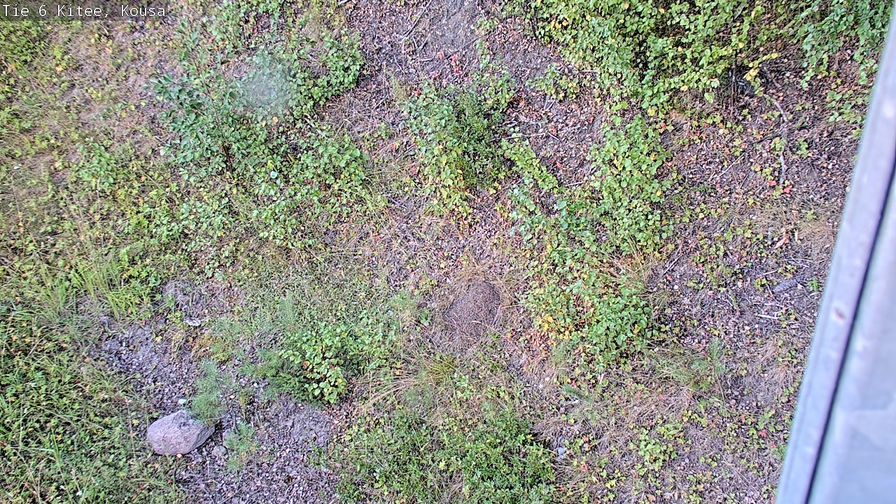 Kelikamerat Kuva Tie 6, Kitee, Kousa, Kitee, Pohjois-Karjala