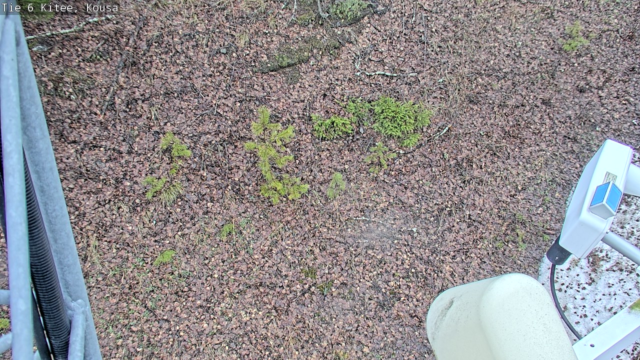 Kelikamerat Kuva Tie 6, Kitee, Kousa, Kitee, Pohjois-Karjala