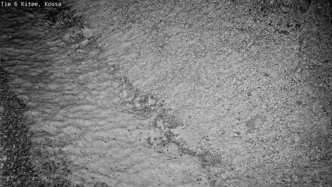 Kelikamerat Kuva Tie 6, Kitee, Kousa, Kitee, Pohjois-Karjala