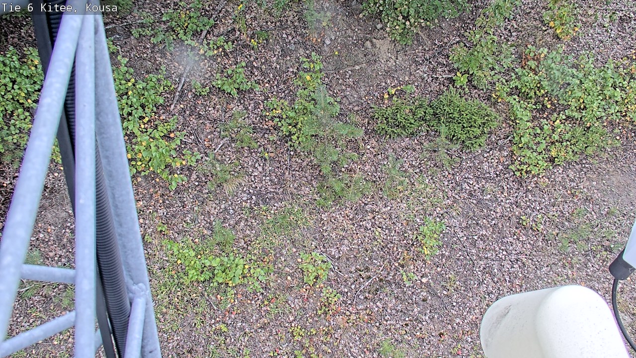 Weather Camera Image Road 6, Kitee, Kousa, Kitee, Pohjois-Karjala