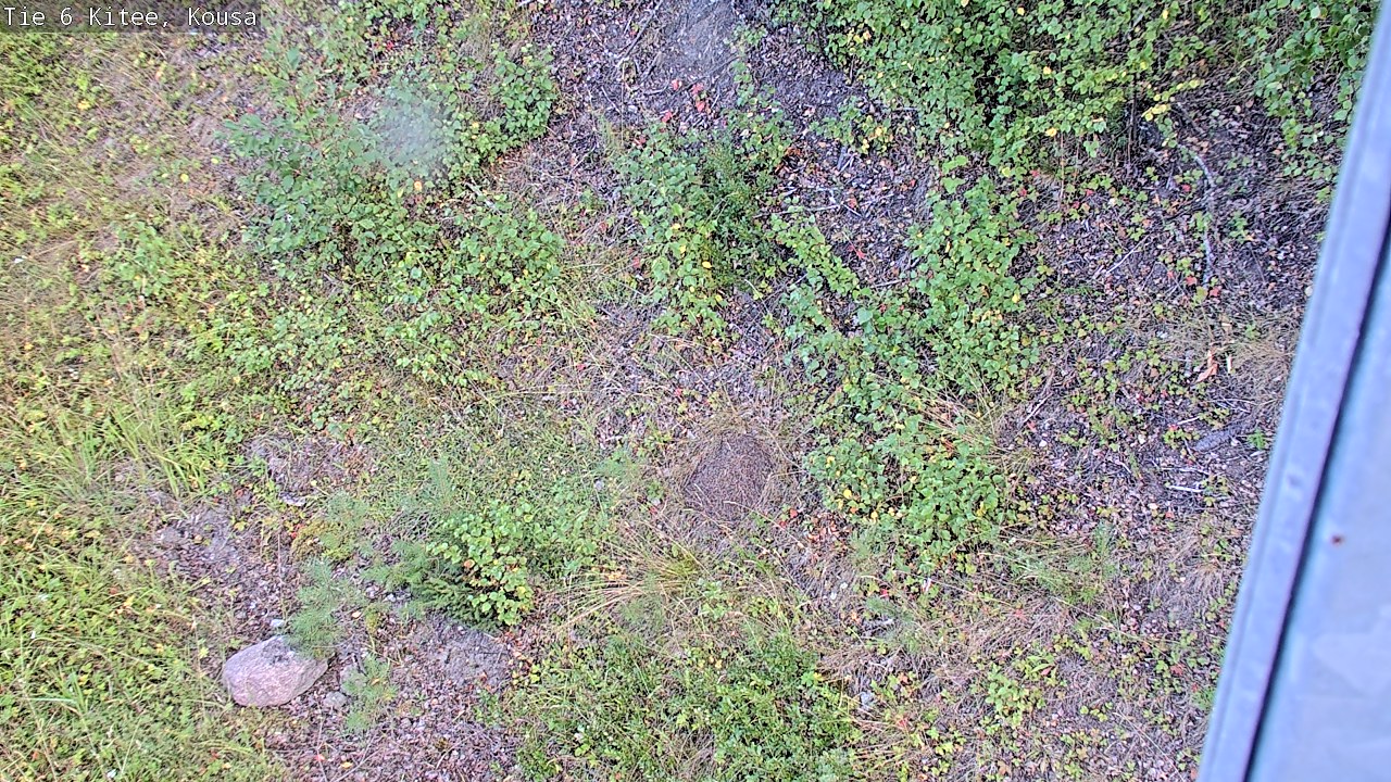 Kelikamerat Kuva Tie 6, Kitee, Kousa, Kitee, Pohjois-Karjala