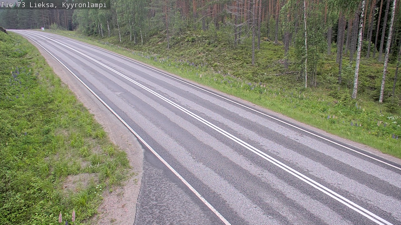 Kelikamerat Kuva Tie 73 Lieksa, Kyyrönlampi, Lieksa, Pohjois-Karjala