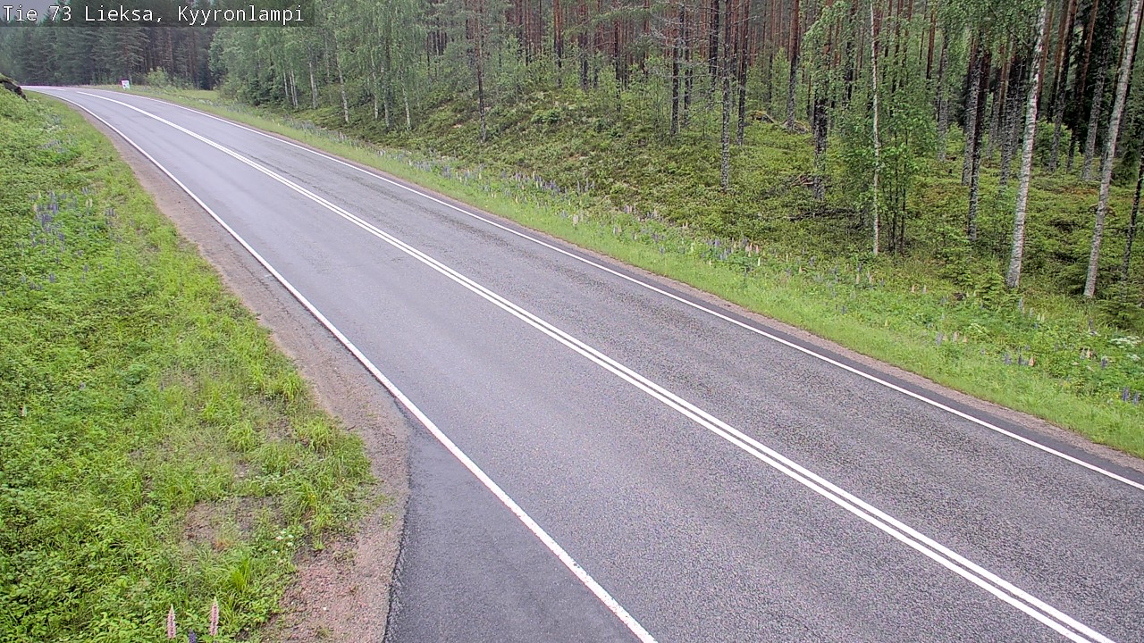 Kelikamerat Kuva Tie 73 Lieksa, Kyyrönlampi, Lieksa, Pohjois-Karjala