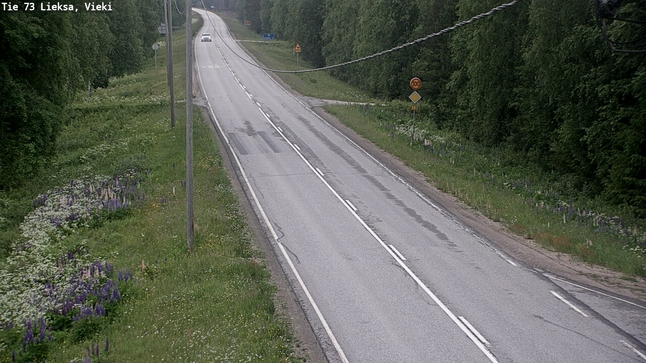Kelikamerat Kuva Tie 73 Lieksa; Vieki, Lieksa, Pohjois-Karjala