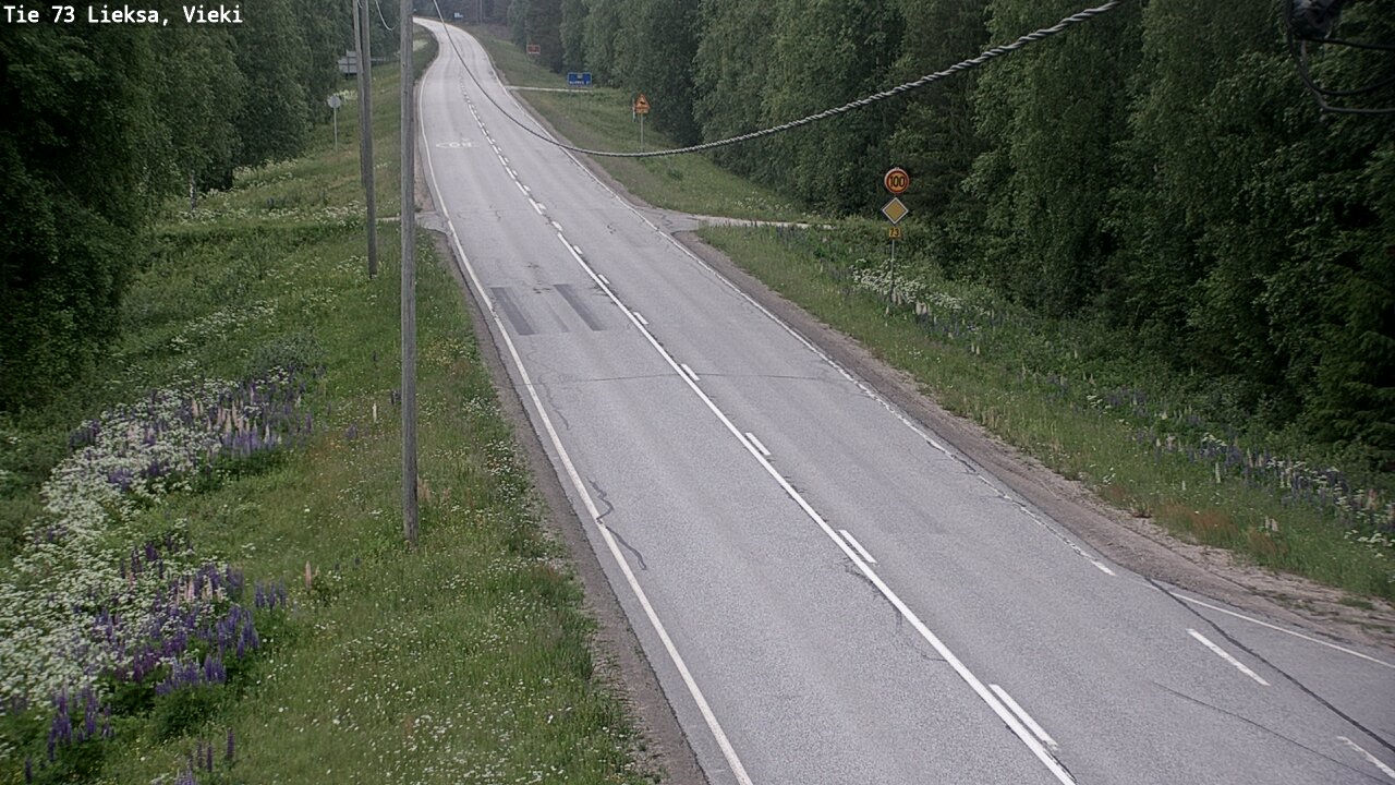 Kelikamerat Kuva Tie 73 Lieksa; Vieki, Lieksa, Pohjois-Karjala