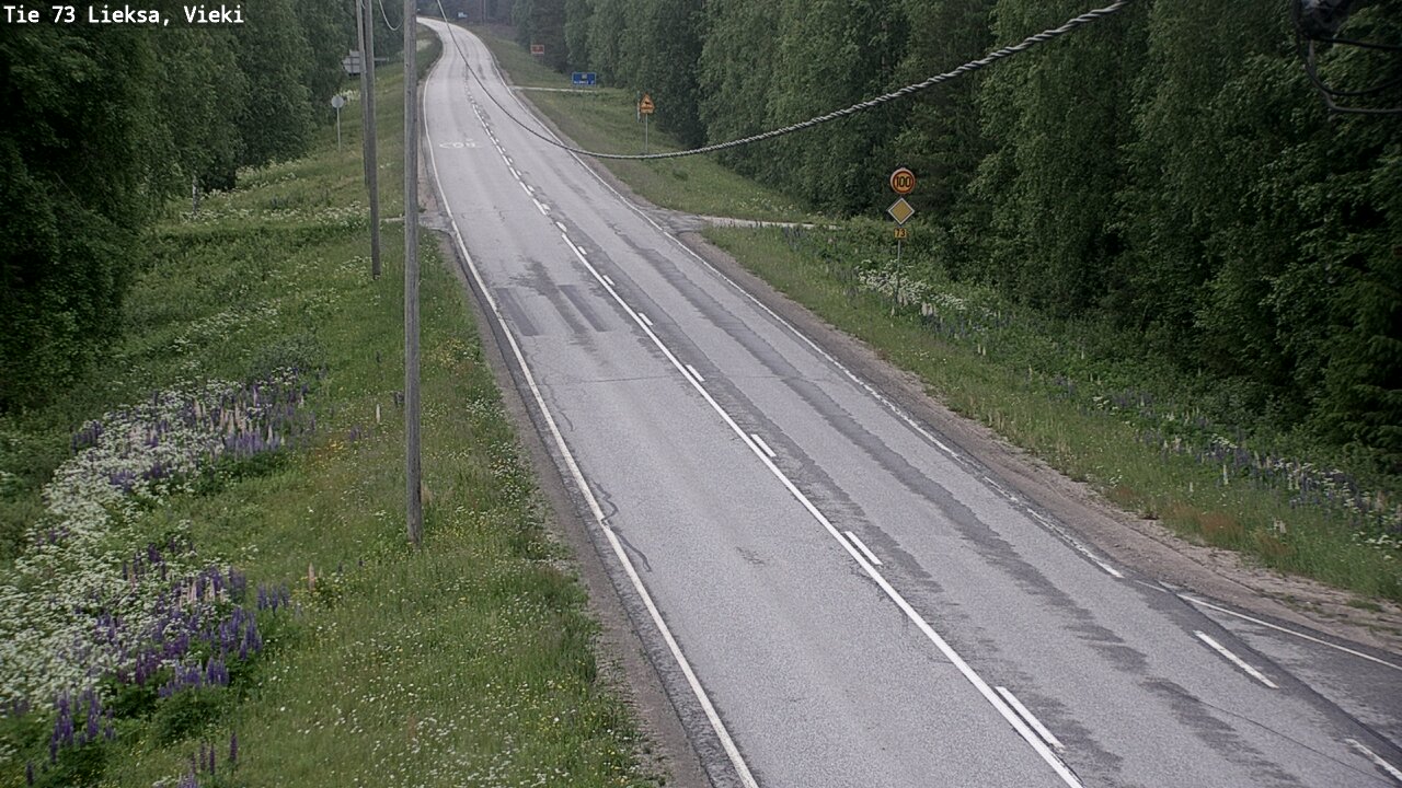 Kelikamerat Kuva Tie 73 Lieksa; Vieki, Lieksa, Pohjois-Karjala