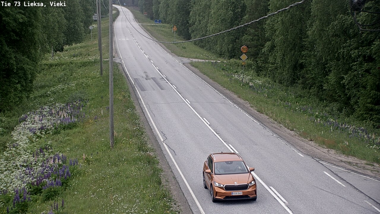 Kelikamerat Kuva Tie 73 Lieksa; Vieki, Lieksa, Pohjois-Karjala