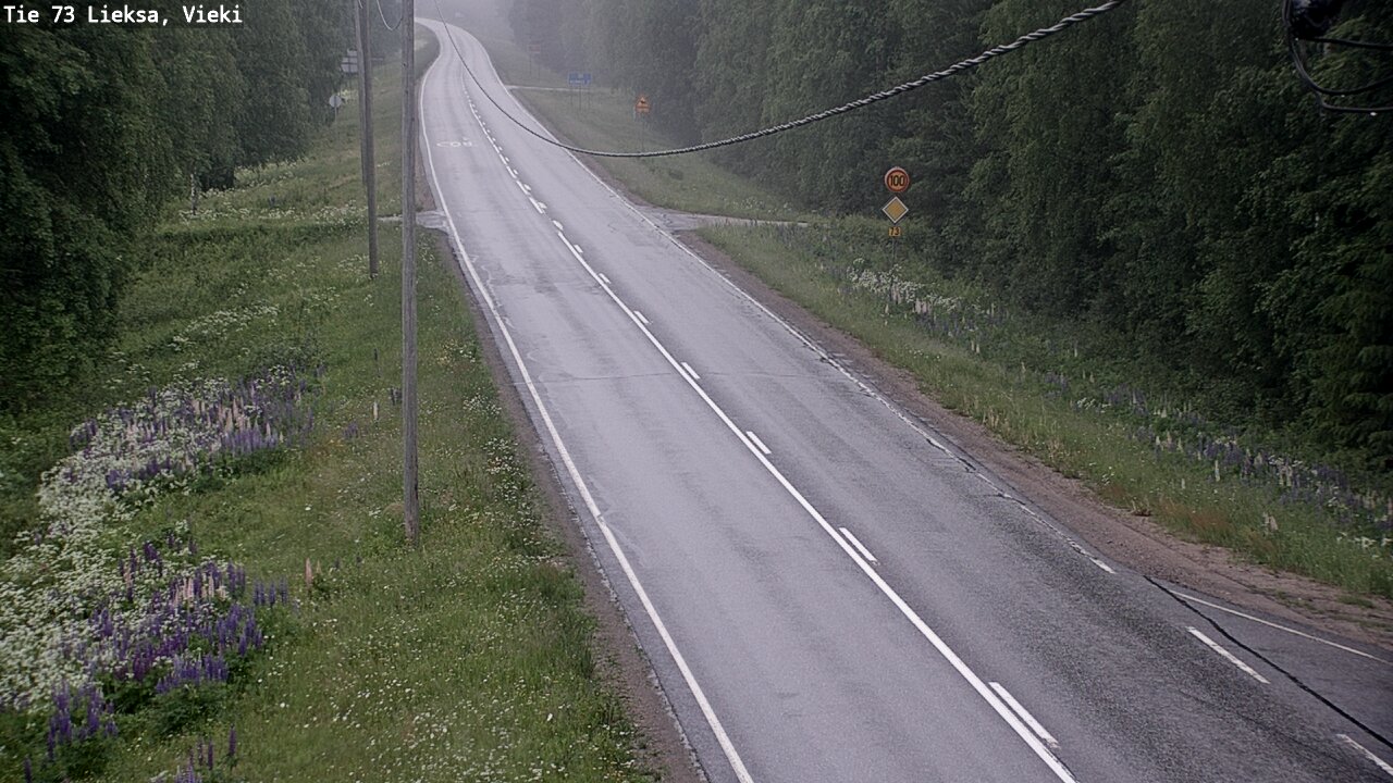 Kelikamerat Kuva Tie 73 Lieksa; Vieki, Lieksa, Pohjois-Karjala