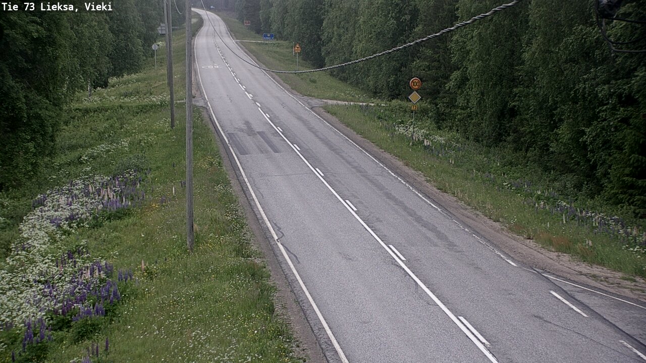 Kelikamerat Kuva Tie 73 Lieksa; Vieki, Lieksa, Pohjois-Karjala