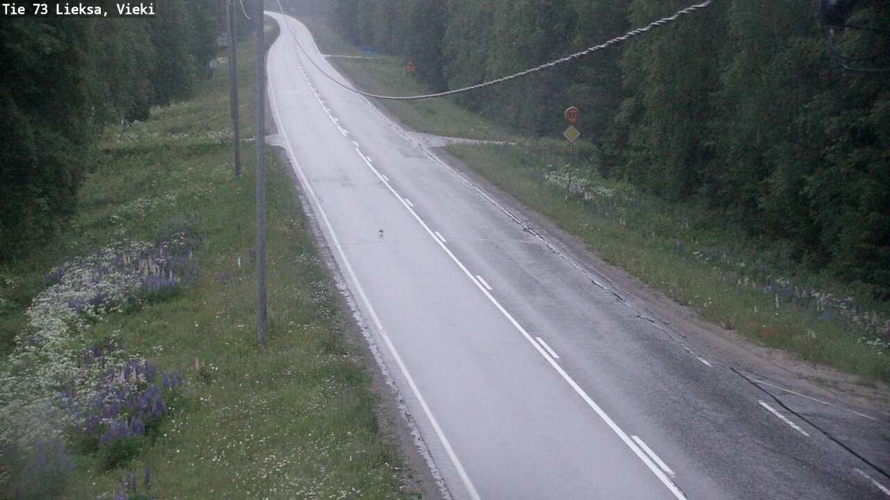 Kelikamerat Kuva Tie 73 Lieksa; Vieki, Lieksa, Pohjois-Karjala