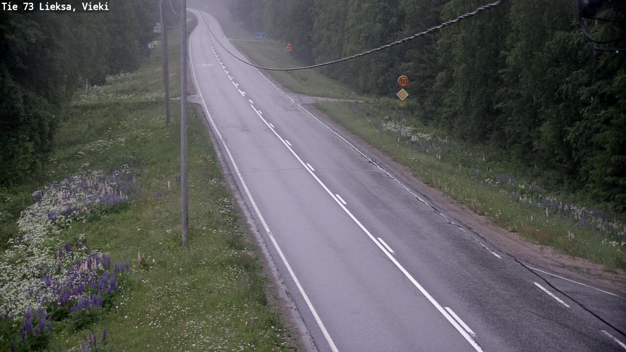 Kelikamerat Kuva Tie 73 Lieksa; Vieki, Lieksa, Pohjois-Karjala