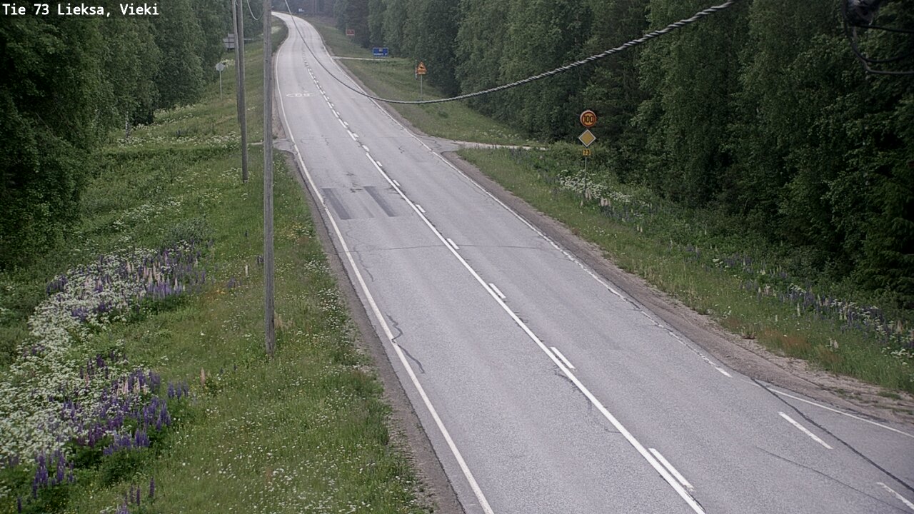 Kelikamerat Kuva Tie 73 Lieksa; Vieki, Lieksa, Pohjois-Karjala