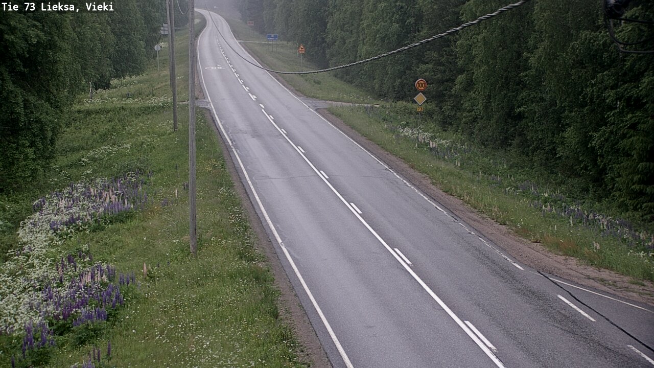 Kelikamerat Kuva Tie 73 Lieksa; Vieki, Lieksa, Pohjois-Karjala