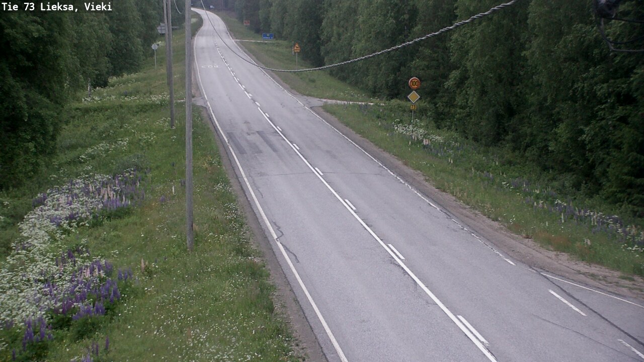 Kelikamerat Kuva Tie 73 Lieksa; Vieki, Lieksa, Pohjois-Karjala