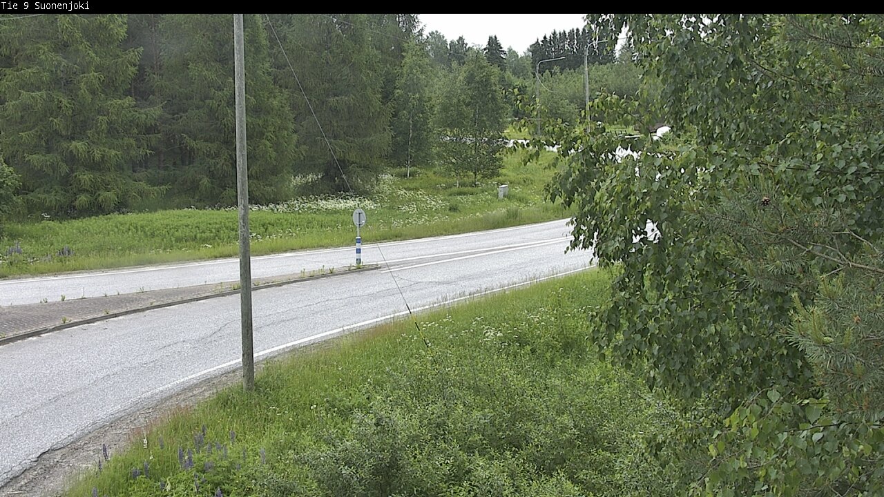 Kelikamerat Kuva Tie 9 Suonenjoki, Purola, Suonenjoki, Pohjois-Savo