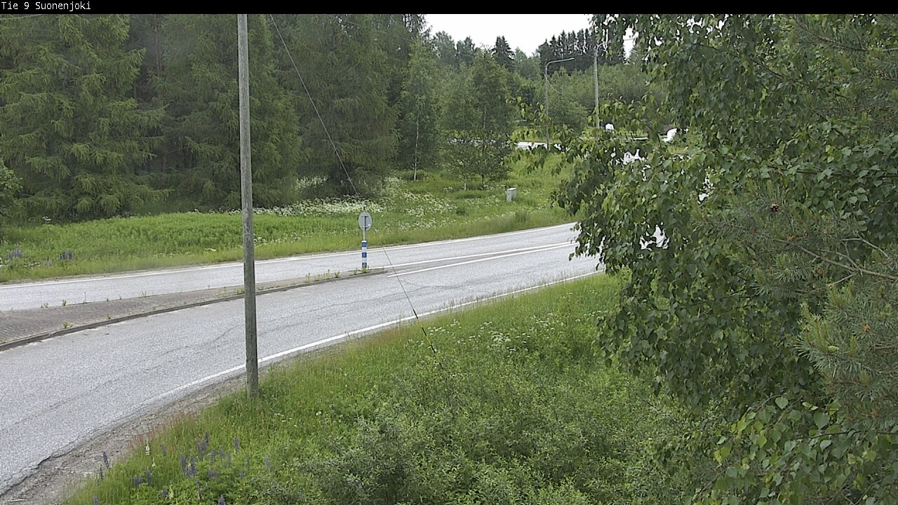 Kelikamerat Kuva Tie 9 Suonenjoki, Purola, Suonenjoki, Pohjois-Savo
