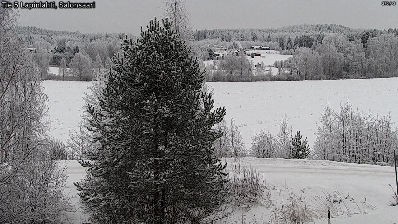 Kelikamerat Kuva Tie 5 Lapinlahti, Salonsaari, Lapinlahti, Pohjois-Savo