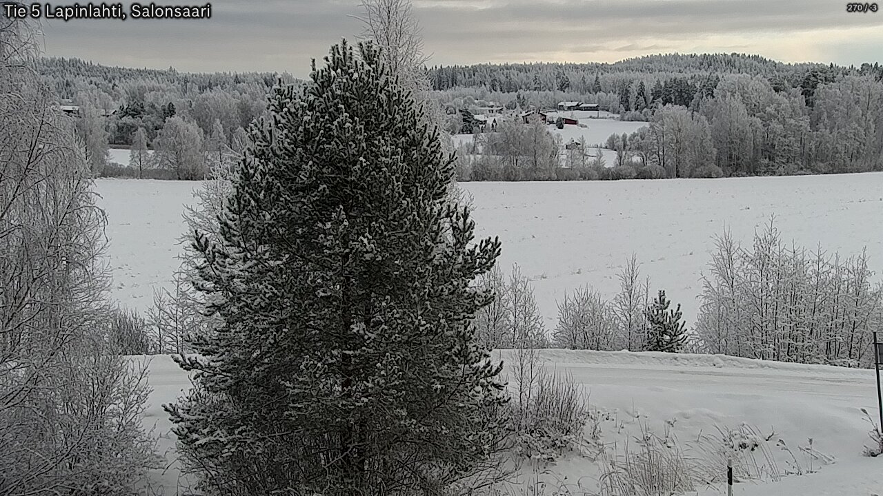 Kelikamerat Kuva Tie 5 Lapinlahti, Salonsaari, Lapinlahti, Pohjois-Savo