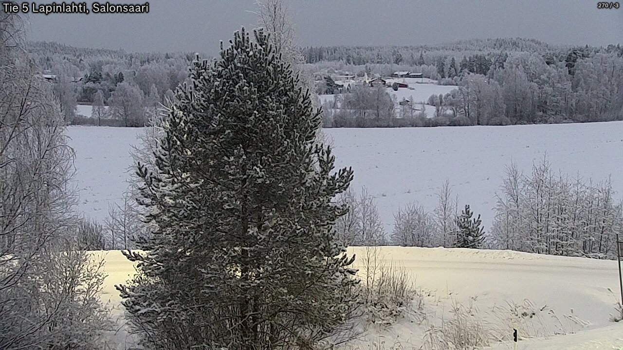 Kelikamerat Kuva Tie 5 Lapinlahti, Salonsaari, Lapinlahti, Pohjois-Savo