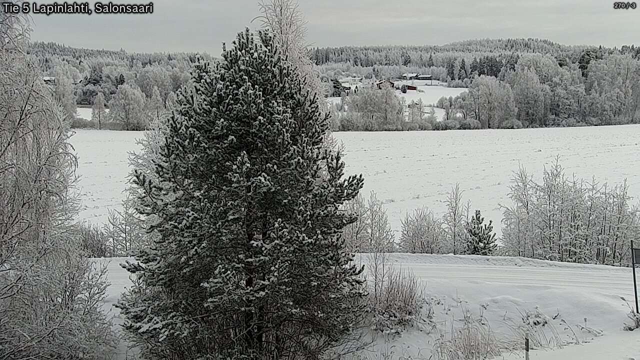 Kelikamerat Kuva Tie 5 Lapinlahti, Salonsaari, Lapinlahti, Pohjois-Savo