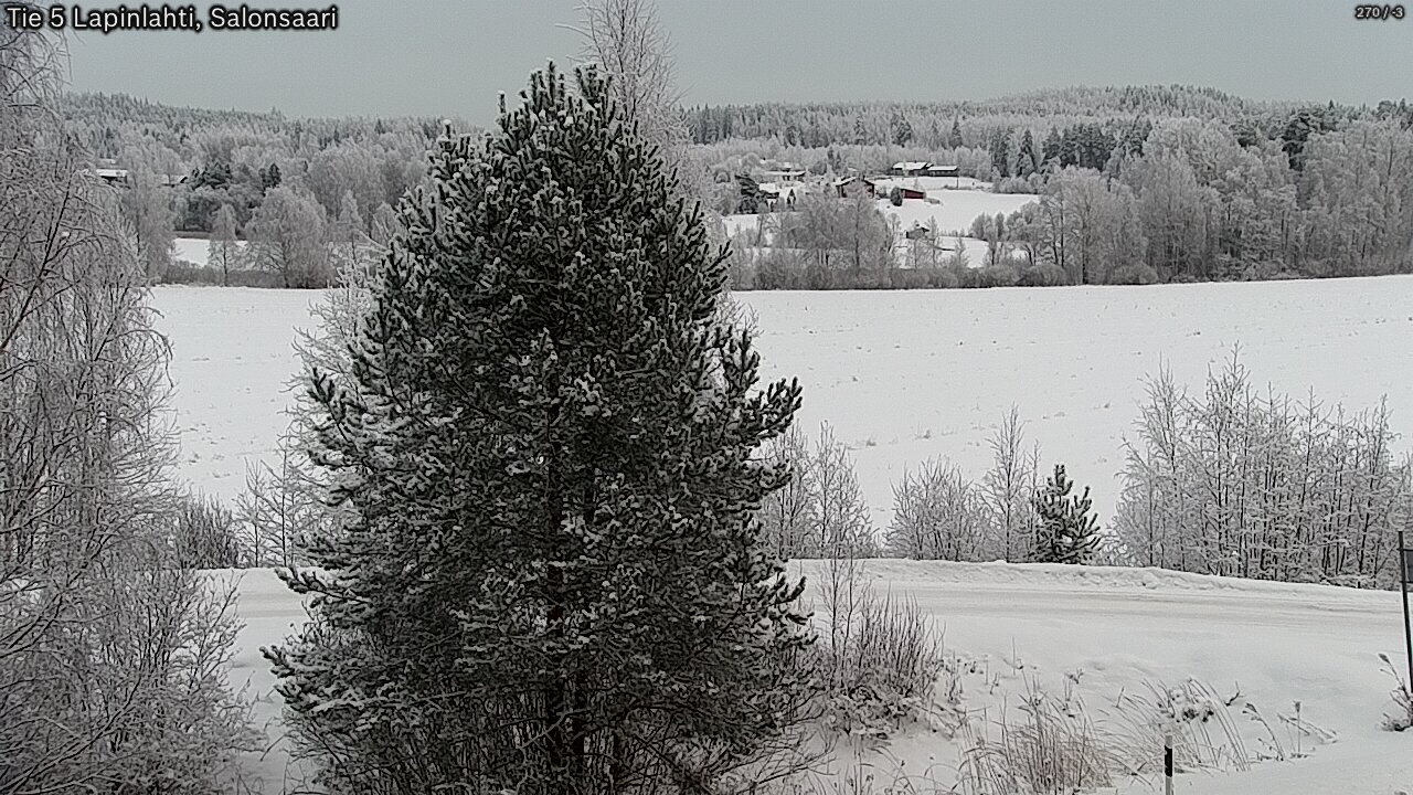 Kelikamerat Kuva Tie 5 Lapinlahti, Salonsaari, Lapinlahti, Pohjois-Savo