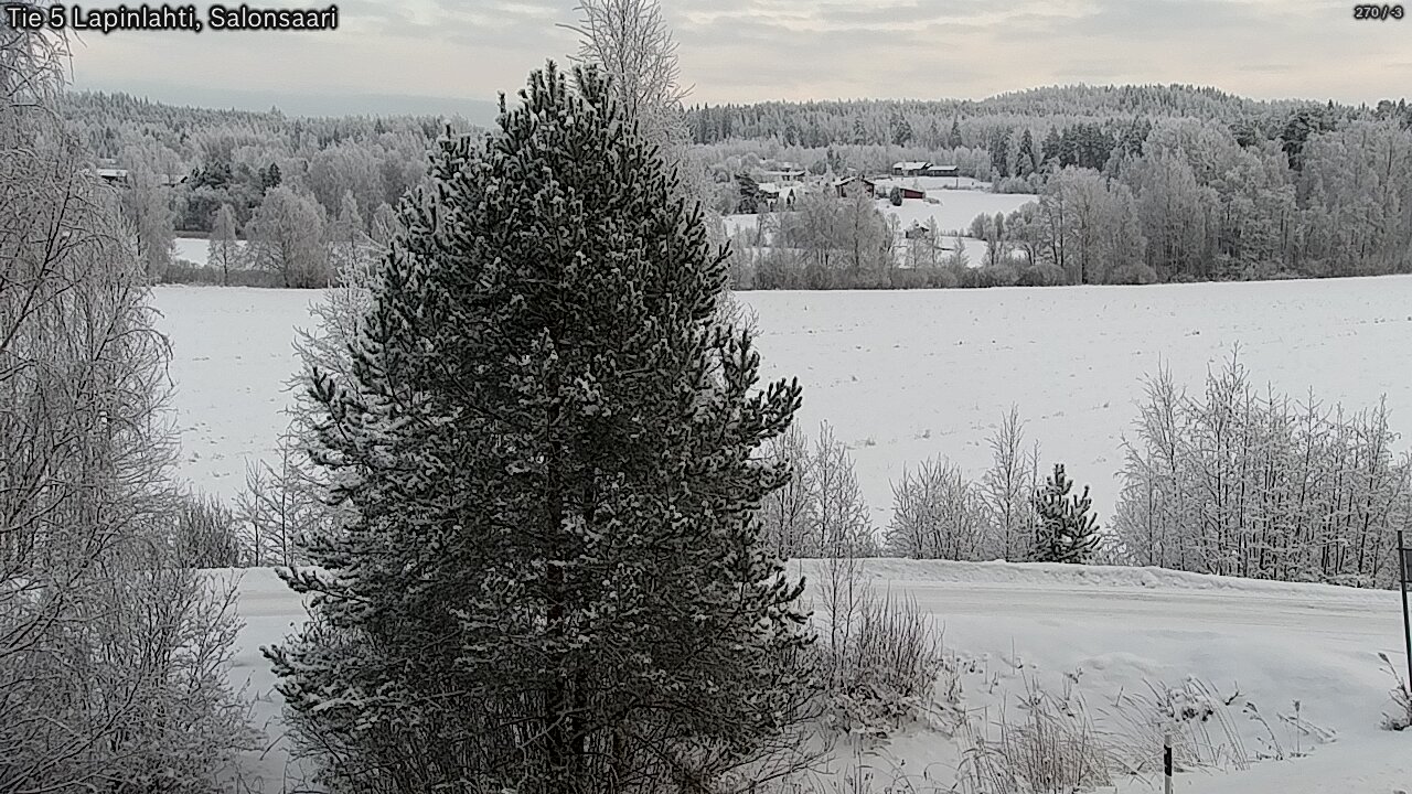 Kelikamerat Kuva Tie 5 Lapinlahti, Salonsaari, Lapinlahti, Pohjois-Savo