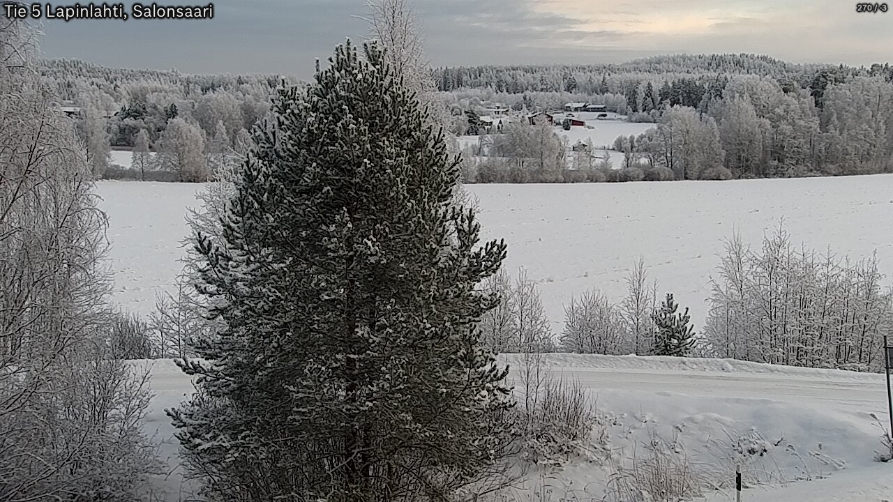 Kelikamerat Kuva Tie 5 Lapinlahti, Salonsaari, Lapinlahti, Pohjois-Savo