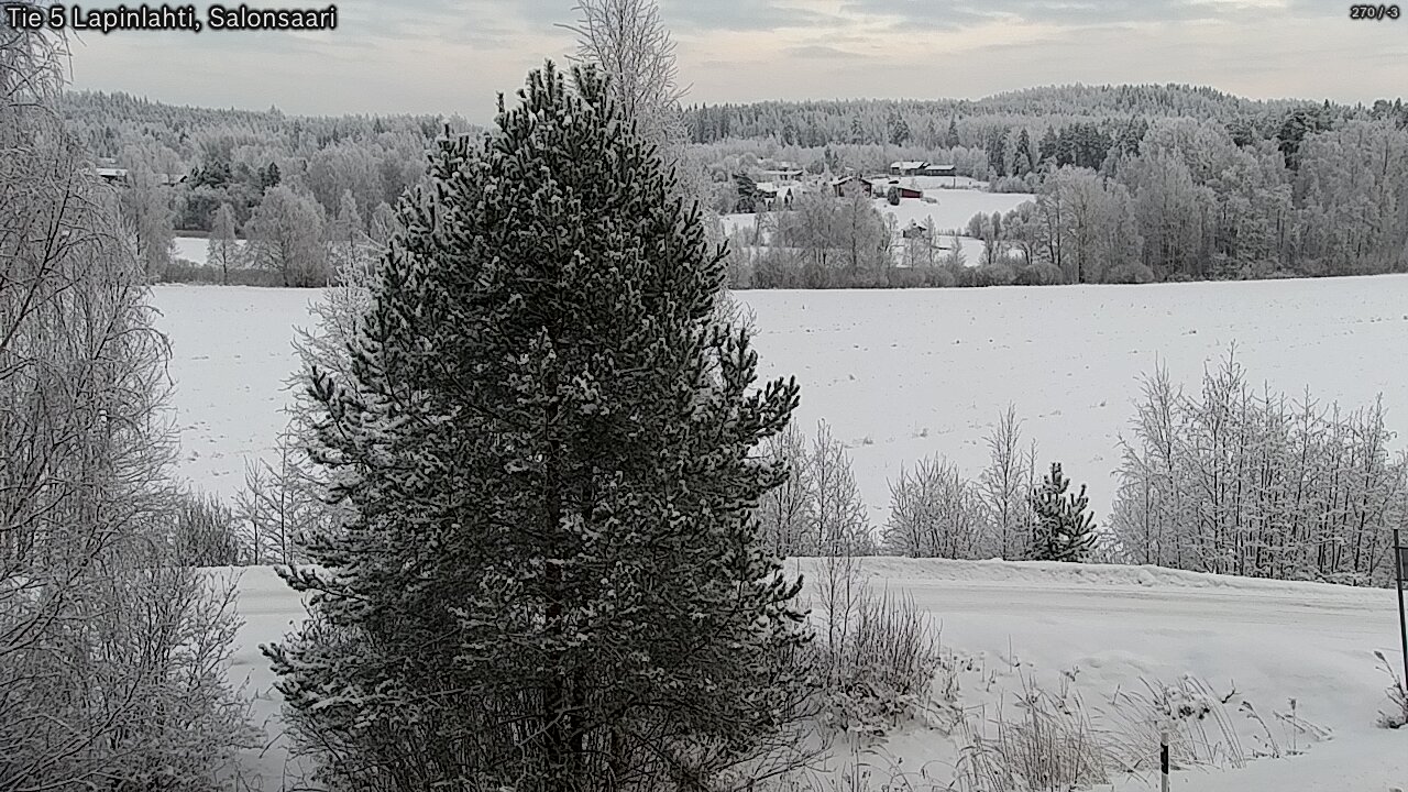 Kelikamerat Kuva Tie 5 Lapinlahti, Salonsaari, Lapinlahti, Pohjois-Savo