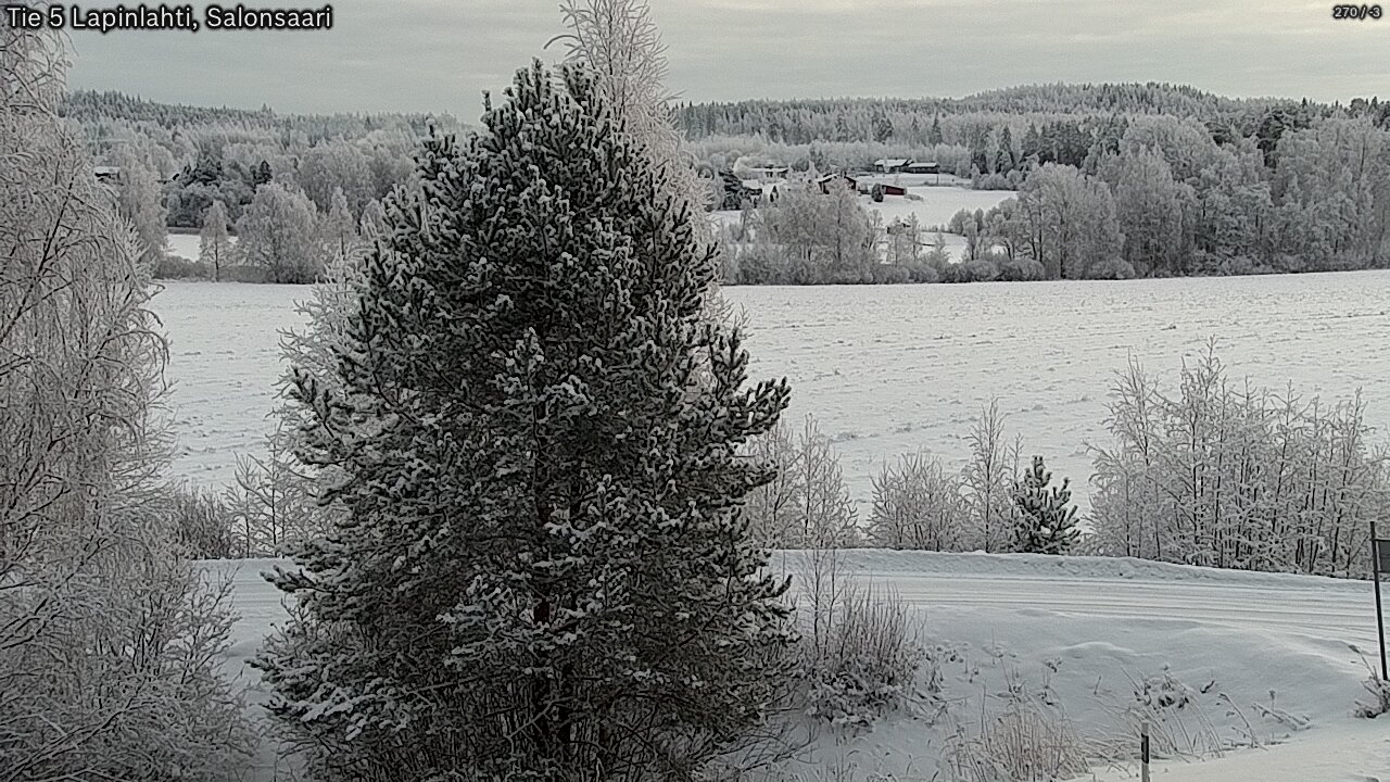 Kelikamerat Kuva Tie 5 Lapinlahti, Salonsaari, Lapinlahti, Pohjois-Savo