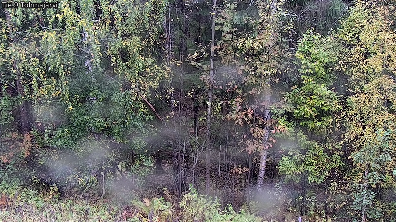 Weather Camera Image Road 9 Tohmajärvi, Tohmajärvi, Pohjois-Karjala