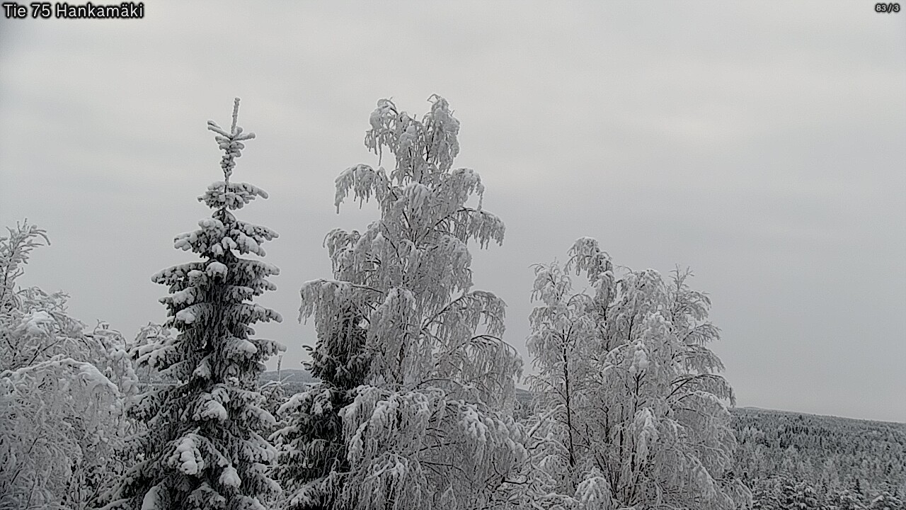 Weather Camera Image Road 75 Rautavaara, Hankamäki, Rautavaara, Pohjois-Savo