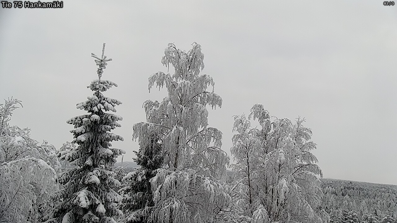 Weather Camera Image Road 75 Rautavaara, Hankamäki, Rautavaara, Pohjois-Savo