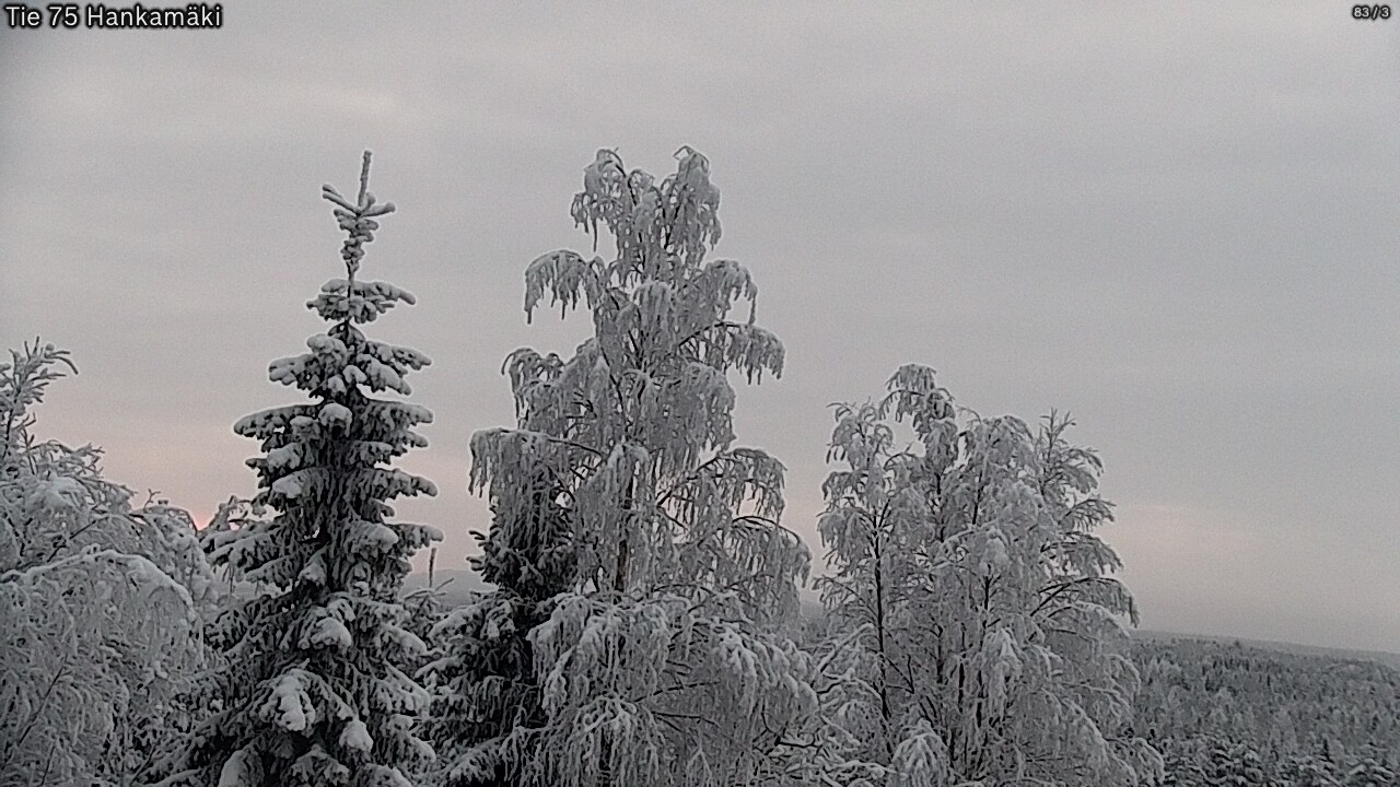 Kelikamerat Kuva Tie 75 Rautavaara, Hankamäki, Rautavaara, Pohjois-Savo