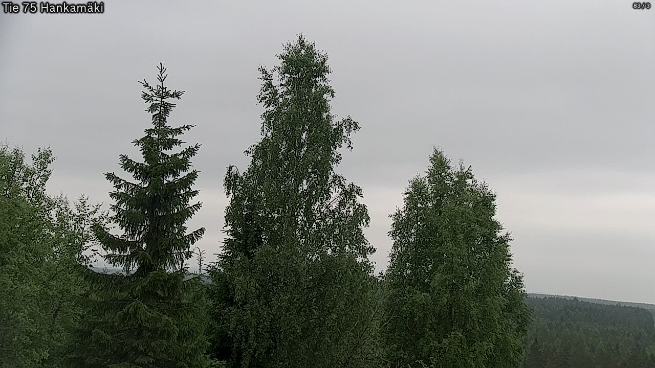 Kelikamerat Kuva Tie 75 Rautavaara, Hankamäki, Rautavaara, Pohjois-Savo