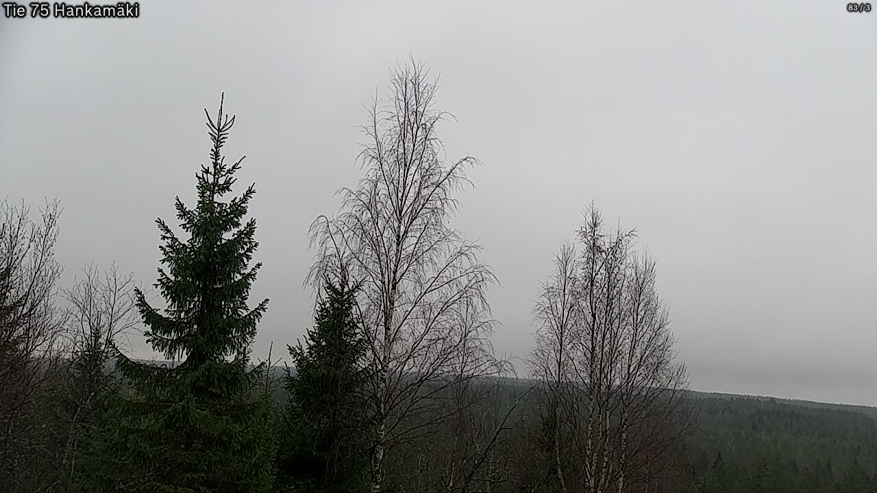 Kelikamerat Kuva Tie 75 Rautavaara, Hankamäki, Rautavaara, Pohjois-Savo