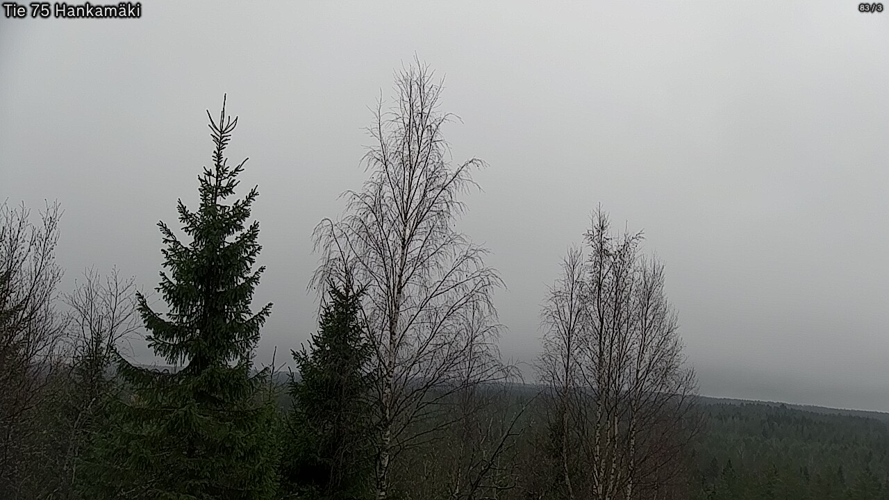 Kelikamerat Kuva Tie 75 Rautavaara, Hankamäki, Rautavaara, Pohjois-Savo